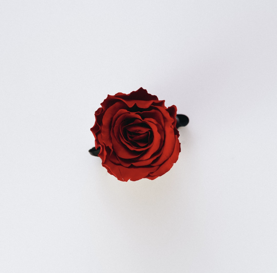 FREE Intuitive Energy Guided Meditation: Basic Tools